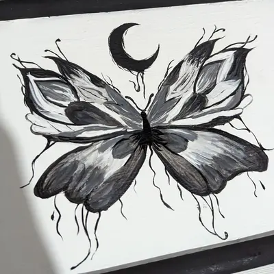 Galería de Metamorfosis